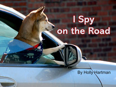 I Spy on the Road