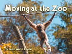Moving at the Zoo
