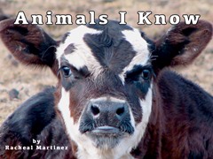 Animals I Know