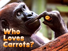 Who Loves Carrots?