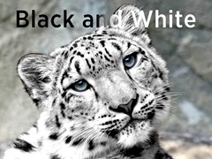 Black and White