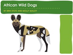 African Wild Dogs
