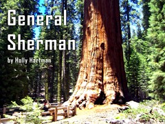 General Sherman