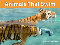Animals That Swim