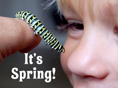 It's Spring!