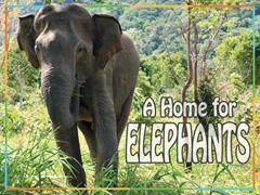 A Home for Elephants