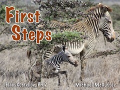 First Steps