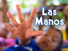 Las manos