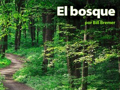 El bosque