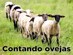 Contando ovejas