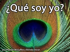 ¿Qué soy yo?