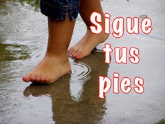 Sigue tus pies