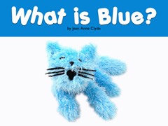 What is Blue?