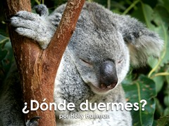 ¿Dónde duermes?