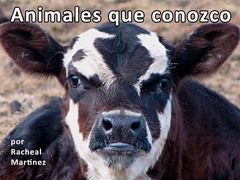 Animales que conozco
