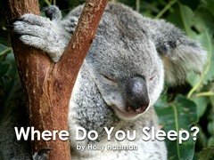 Where Do You Sleep?