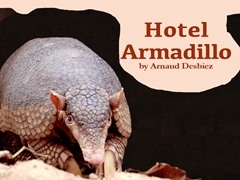Hotel Armadillo