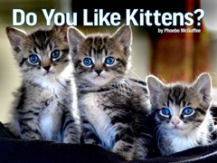 Do You Like Kittens?