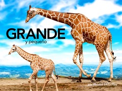 Grande y pequeño