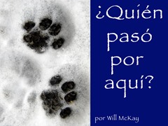 ¿Quién pasó por aquí?