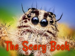 The Scary Book