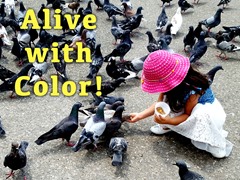 Alive with Color!