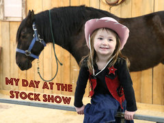 My Day at the Stock Show