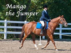 Mango the Jumper