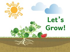 Let's Grow