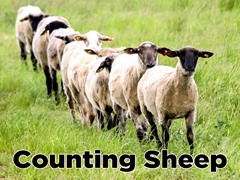 Counting Sheep