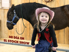 Mi día en el Stock show