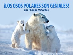 ¡Los osos polares son geniales!