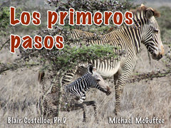 Los primeros pasos