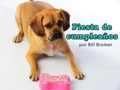 Fiesta de cumpleaños