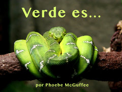 Verde es