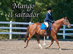 Mango el saltador