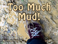 Too Much Mud!
