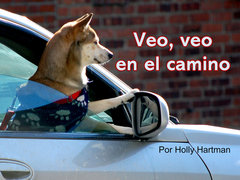 Veo, veo en el camino