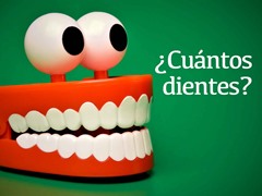 ¿Cuántos dientes?