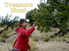 Treasure Hunt