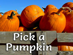 Pick a Pumpkin