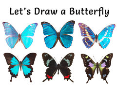 Let's Draw a Butterfly