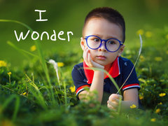 I Wonder