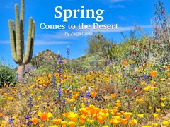 Spring Comes to the Desert