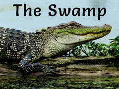 The Swamp