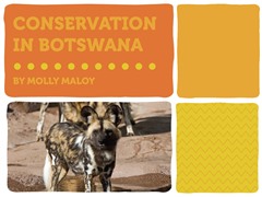 Conservation in Botswana