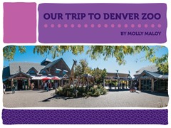 Our Trip to Denver Zoo