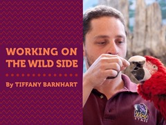 Working on the Wild Side