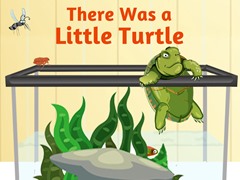 There was a Little Turtle
