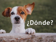 ¿Dónde?